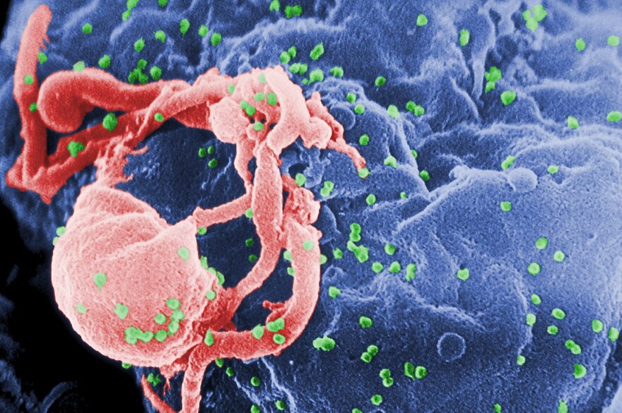 Emerging Infectious Diseases and the Global Response in 2025: A Race Against Time